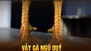 Các loại vảy gà - Bí quyết chọn gà hay từ cao thủ Ga6789